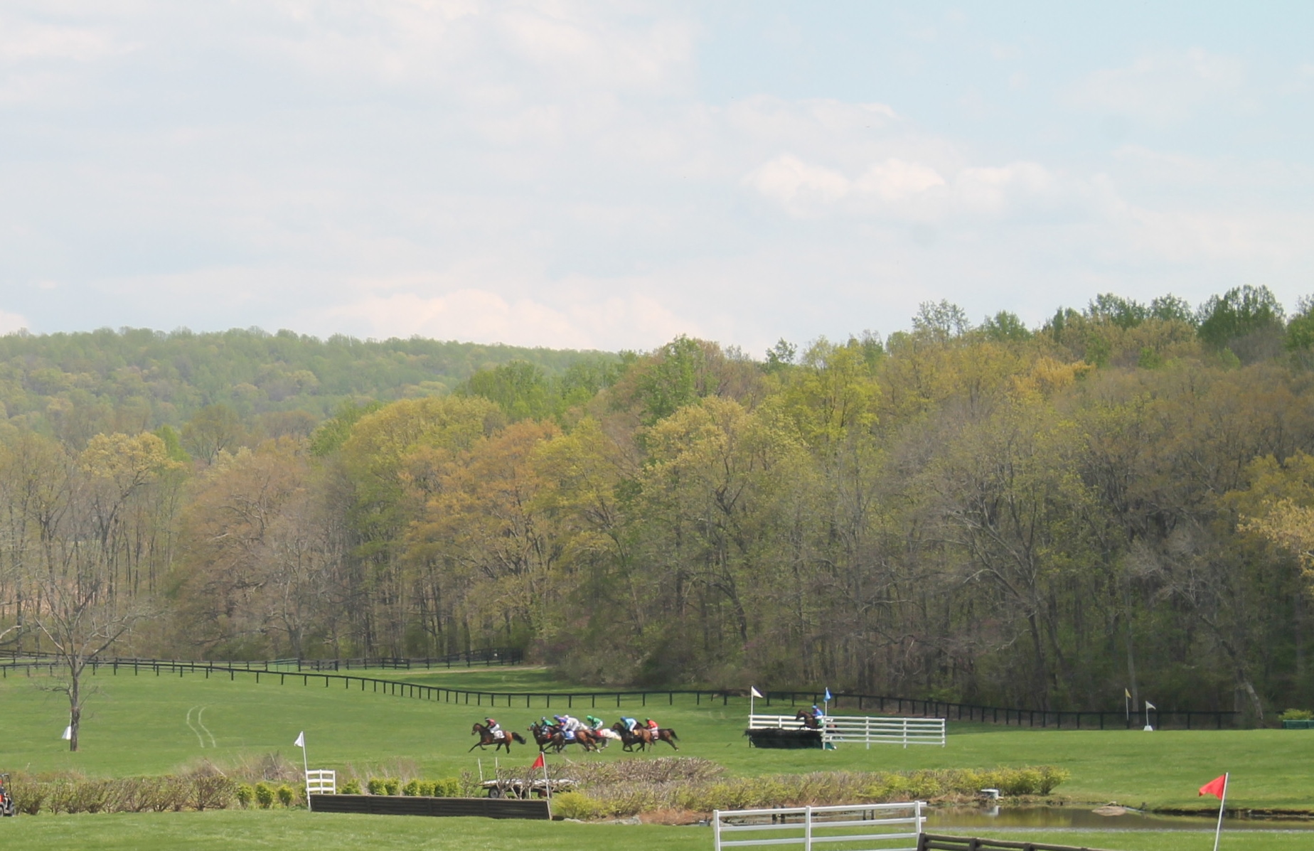 Virginia_Gold_Cup_2014_Meadow Virginia_Gold_Cup_2014_Meadow