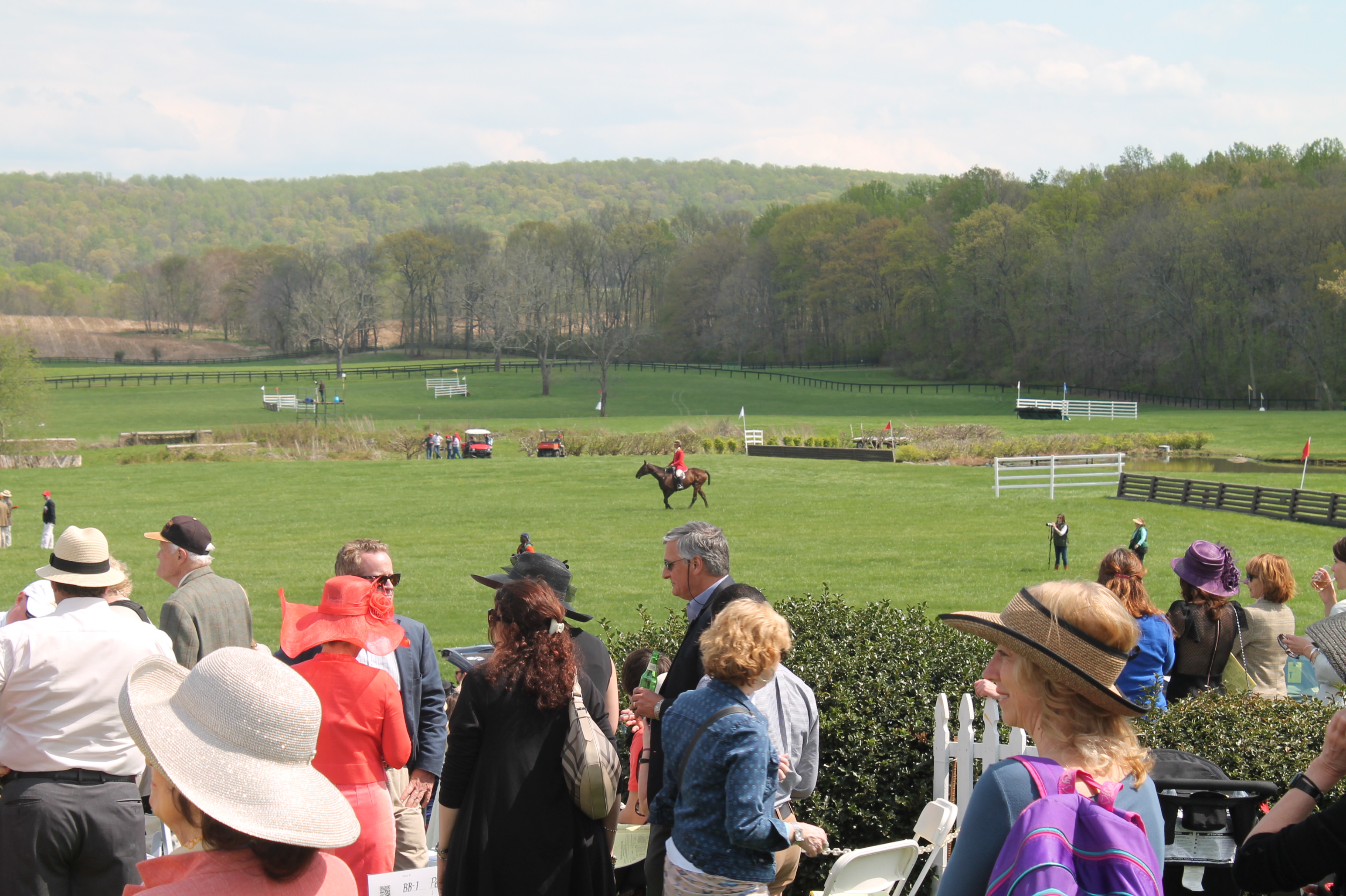 Virginia_Gold_Cup_2014_Meadow_2 Virginia_Gold_Cup_2014_Meadow_2