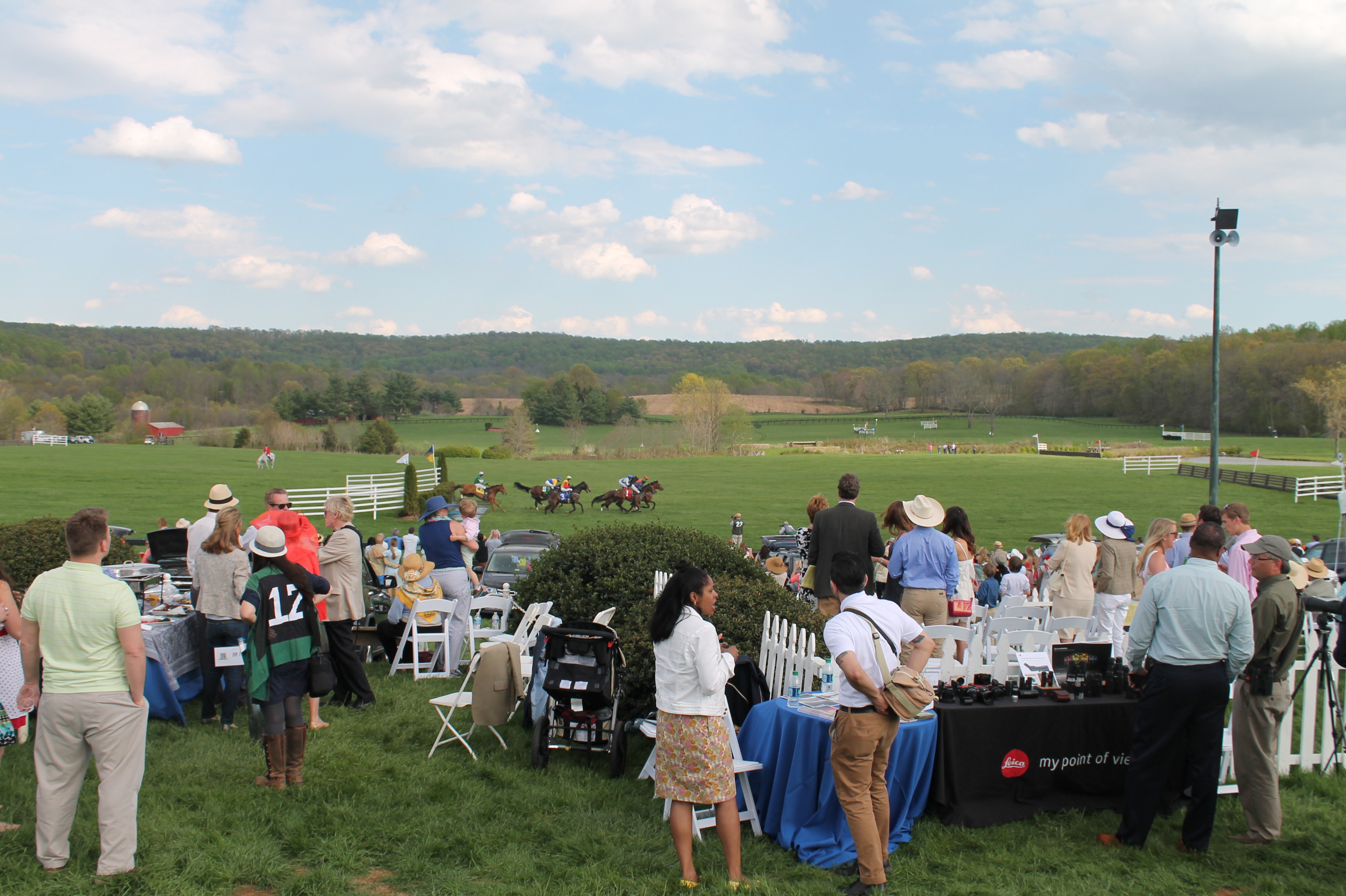 Virginia_Gold_Cup_2014_Race Virginia_Gold_Cup_2014_Race