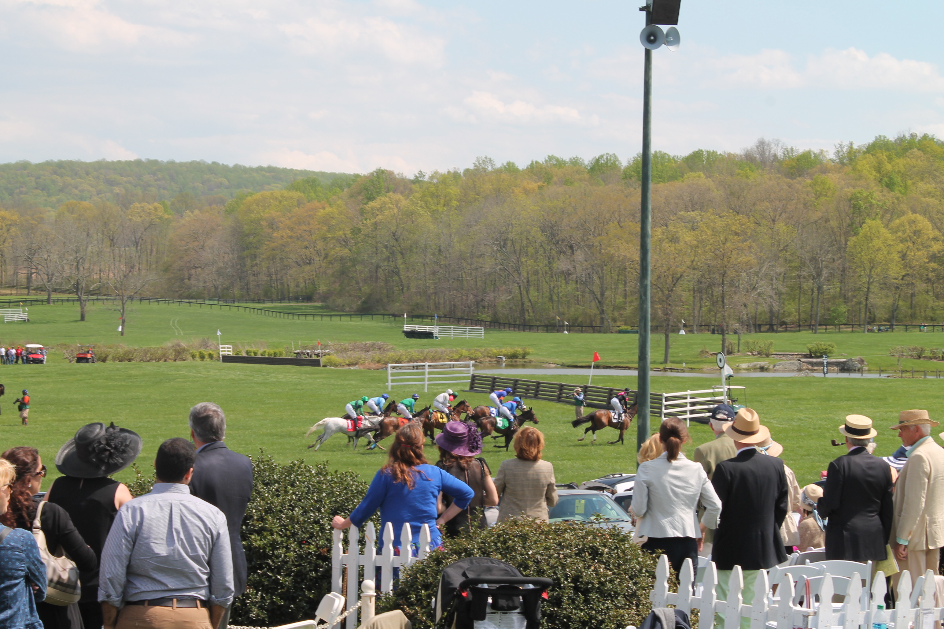 Virginia_Gold_Cup_2014_Race_3 Virginia_Gold_Cup_2014_Race_3
