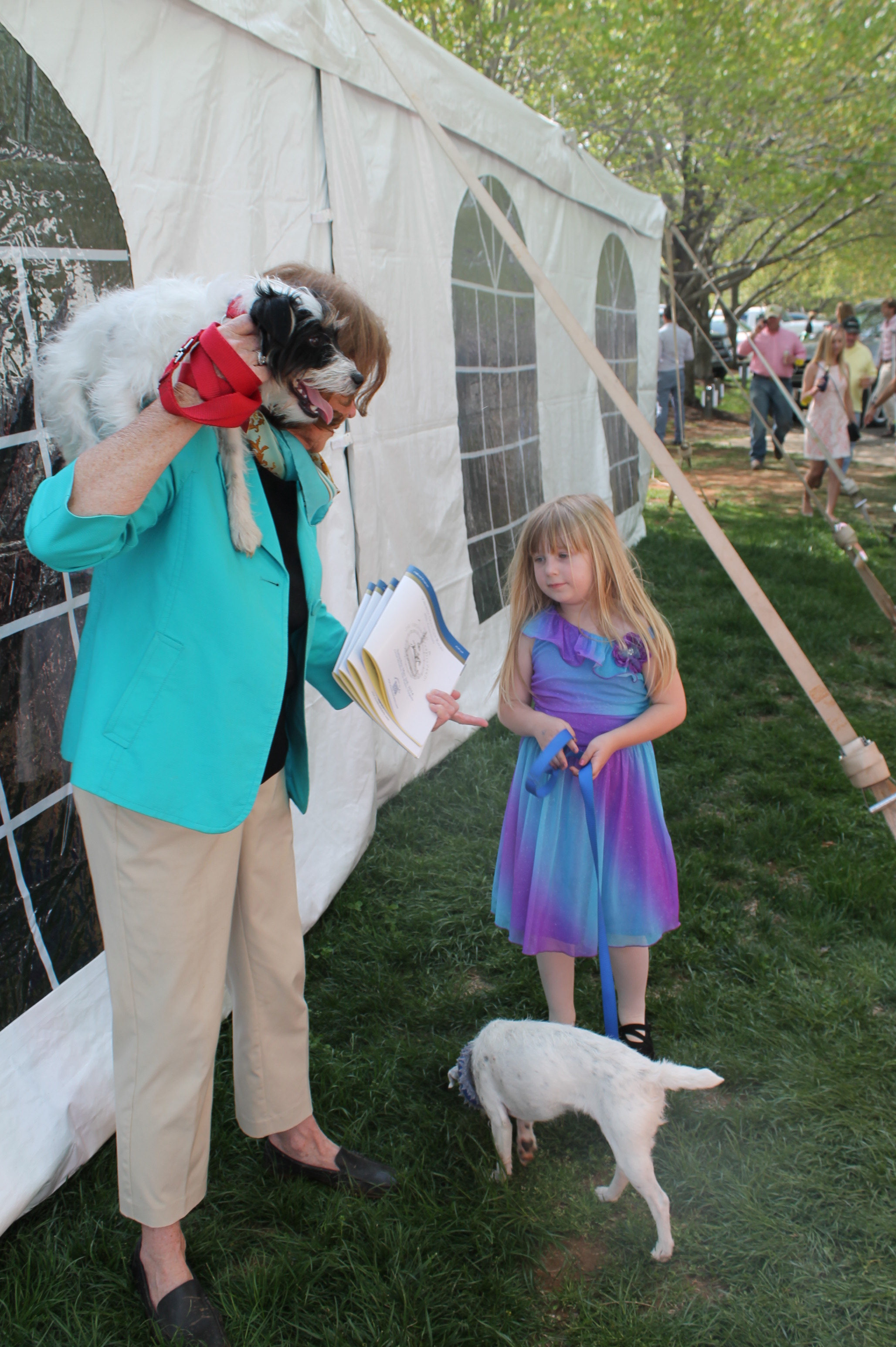 Virginia_Gold_Cup_2014_Terrier_Racers_Angel Virginia_Gold_Cup_2014_Terrier_Racers_Angel