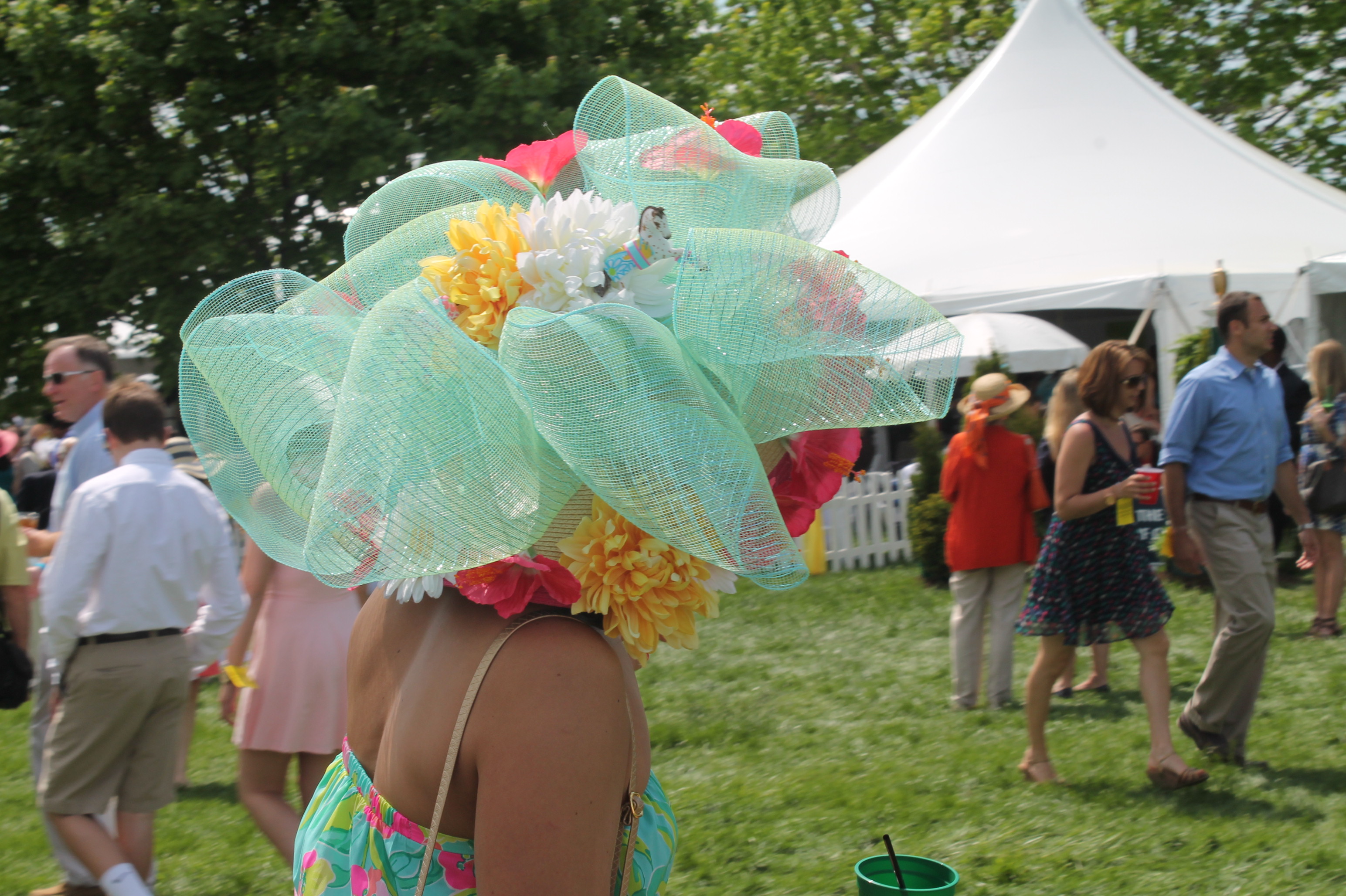 Virginia_Gold_Cup_Hat_2014 Virginia_Gold_Cup_Hat_2014