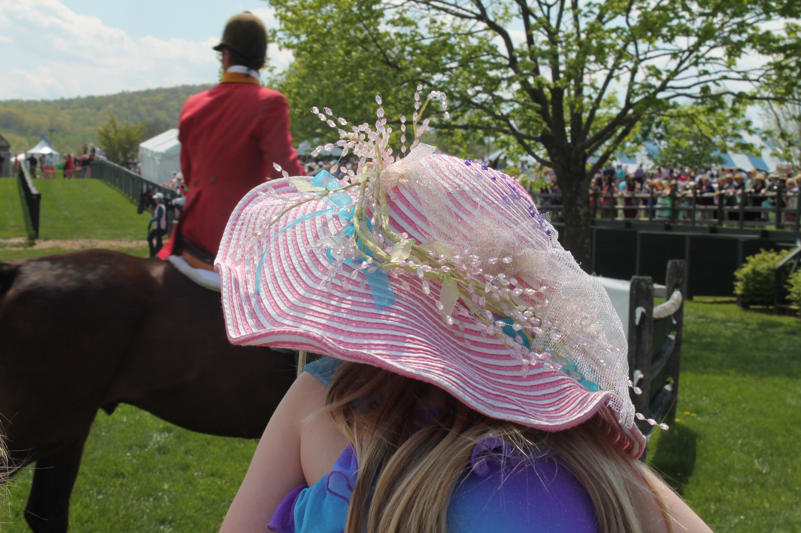 Virginia_Gold_Cup_Hat_Plains_2014 Virginia_Gold_Cup_Hat_Plains_2014