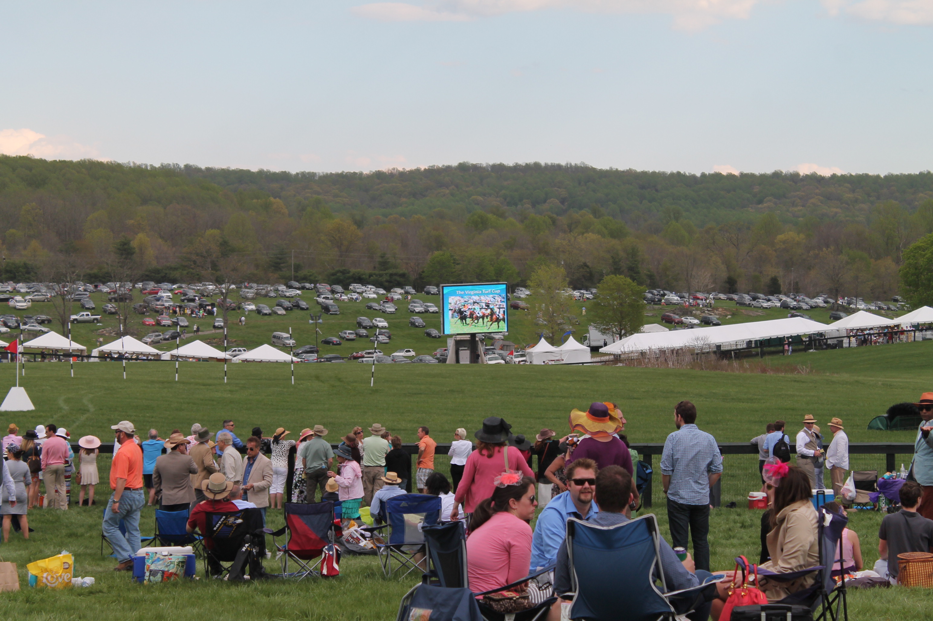 Virginia_Gold_Cup_Plains_2014