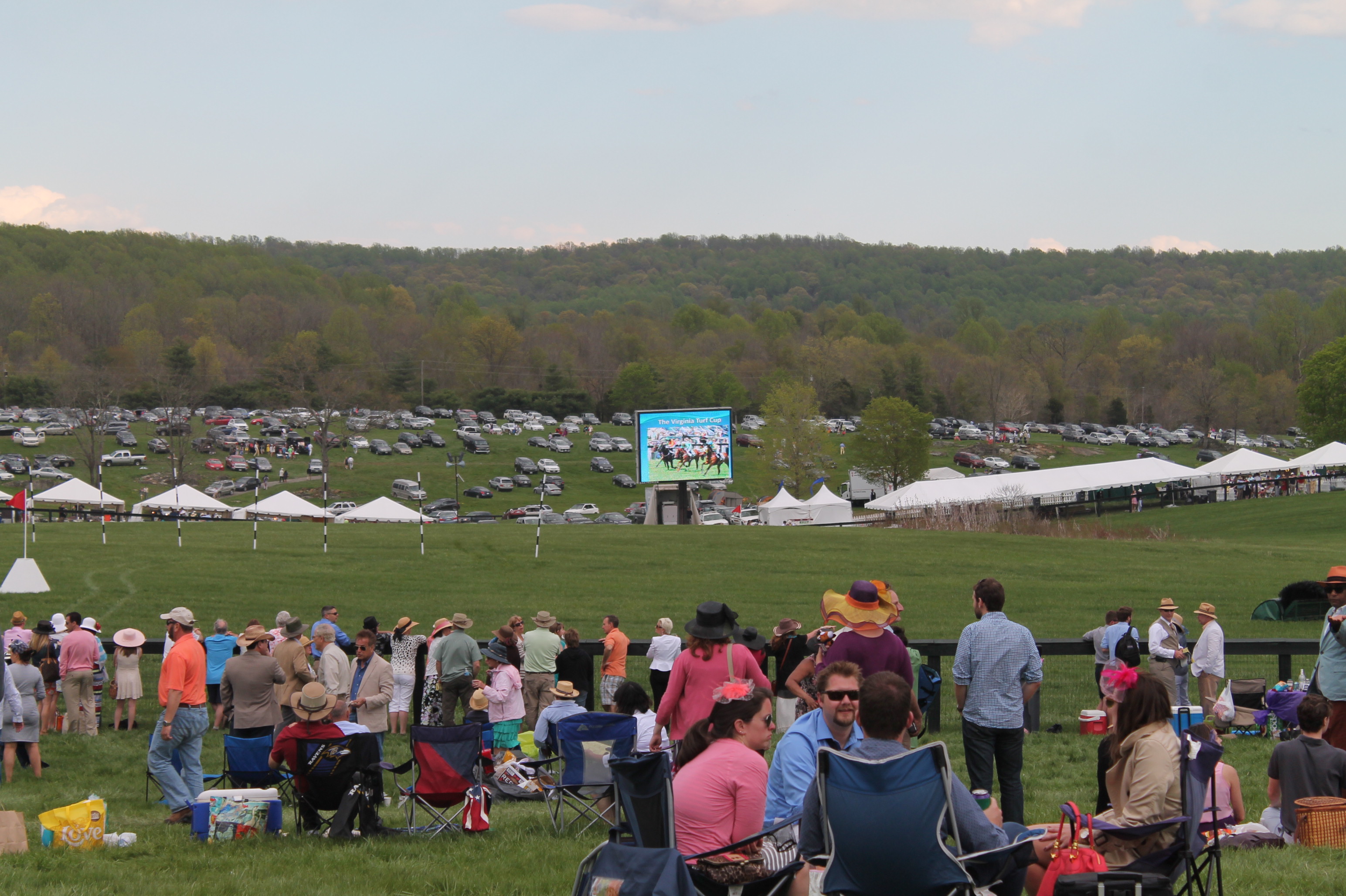 Virginia_Gold_Cup_Plains_2014 Virginia_Gold_Cup_Plains_2014