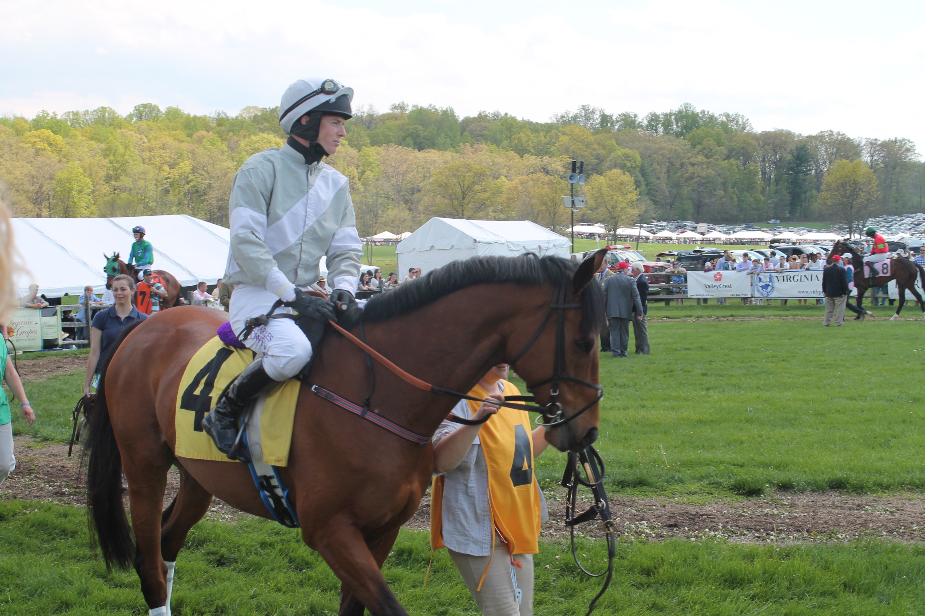 Virginia_Gold_Cup_Plains_2014_4 Virginia_Gold_Cup_Plains_2014_4