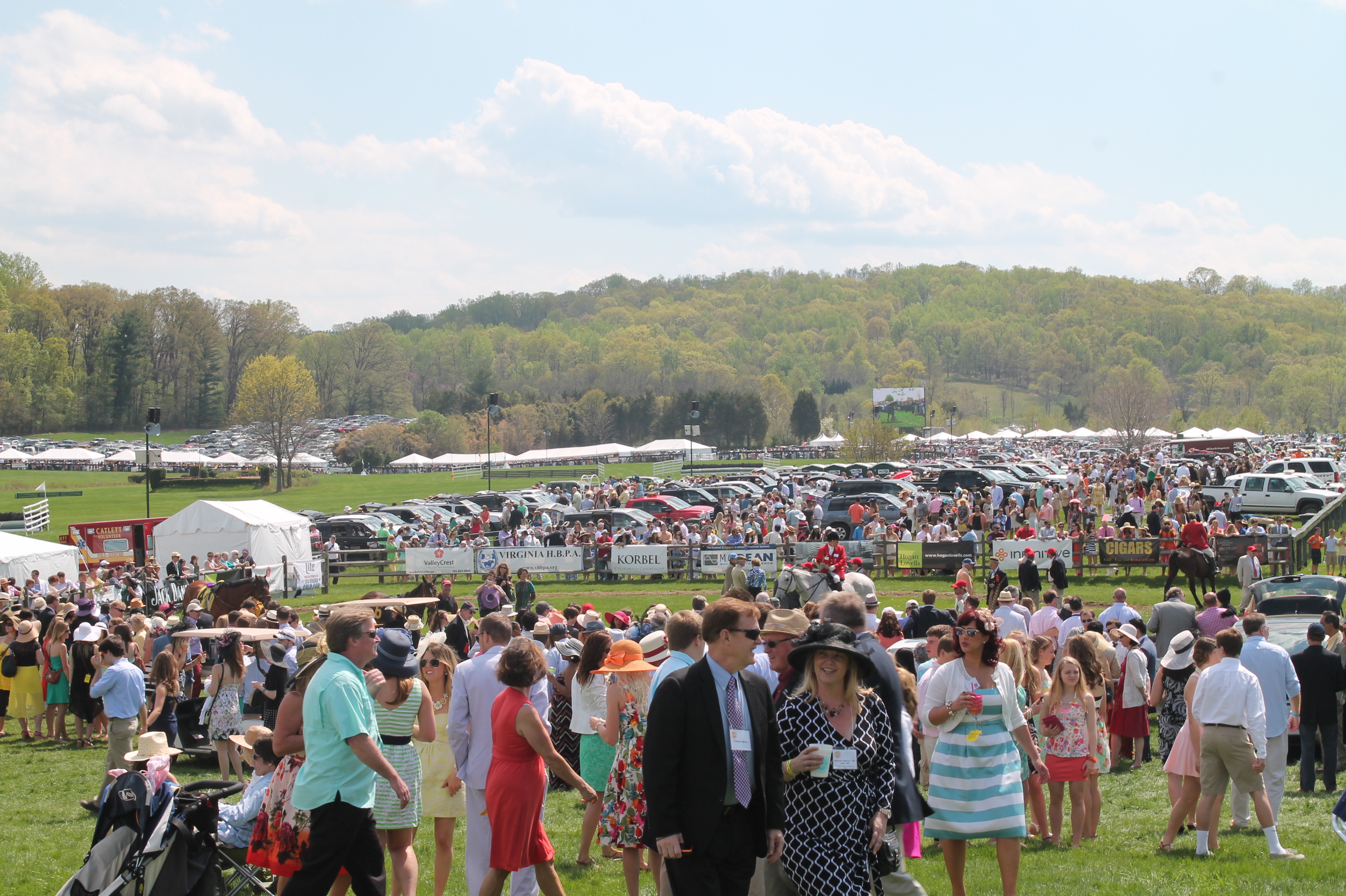 Virginia_Gold_Cup_Plains_2014_5 Virginia_Gold_Cup_Plains_2014_5