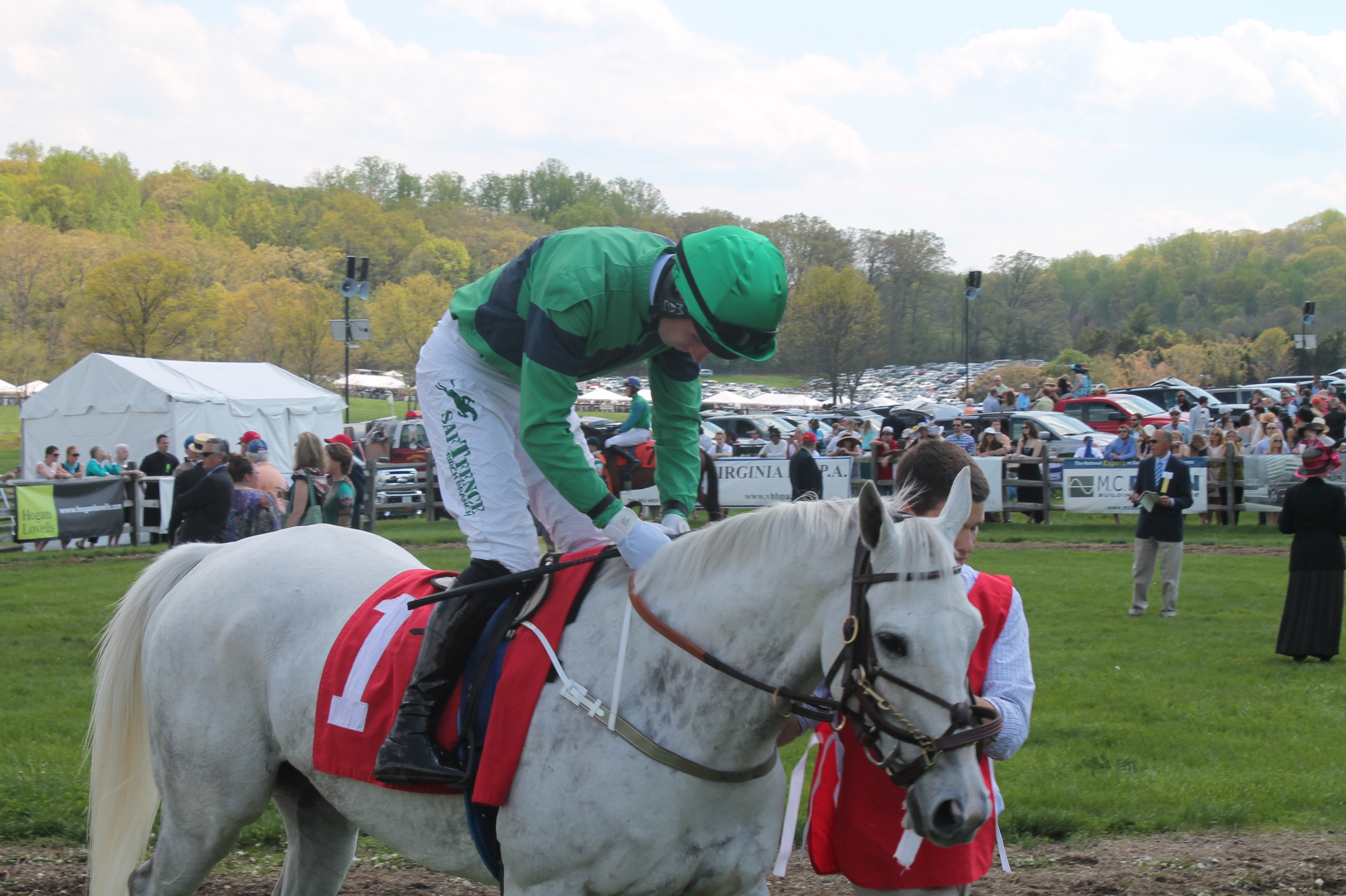 Virginia_Gold_Cup_Plains_2014_Racer1 Virginia_Gold_Cup_Plains_2014_Racer1
