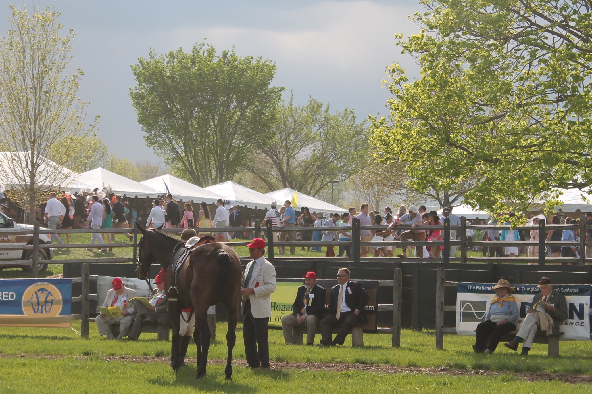 Virginia_Gold_Cup_Plains_Arundel Virginia_Gold_Cup_Plains_Arundel