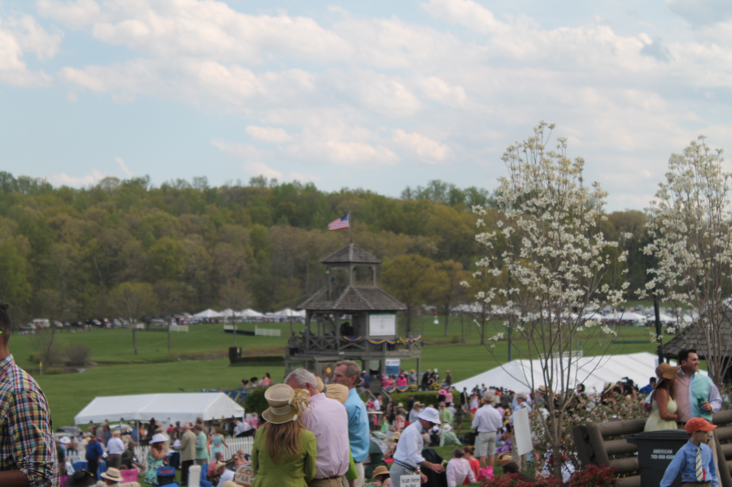 Virginia_Gold_Cup_Plains_Spring_2014 Virginia_Gold_Cup_Plains_Spring_2014