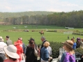Virginia_Gold_Cup_2014_Meadow_2