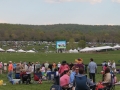 Virginia_Gold_Cup_Plains_2014