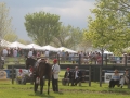 Virginia_Gold_Cup_Plains_Arundel