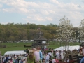 Virginia_Gold_Cup_Plains_Spring_2014