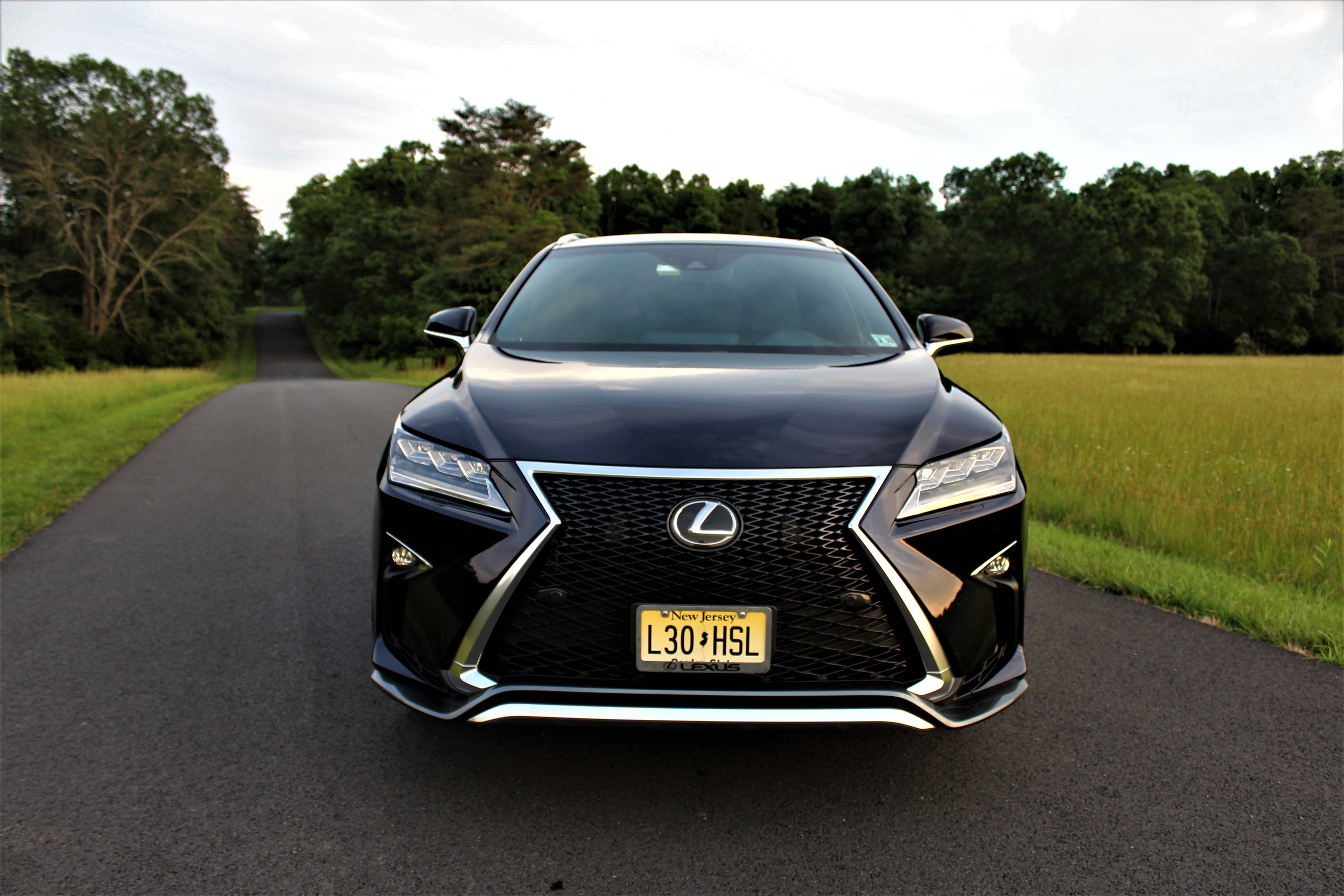 Lexus RX 350 F-Sport-Front-Nose-Colonial-Roads