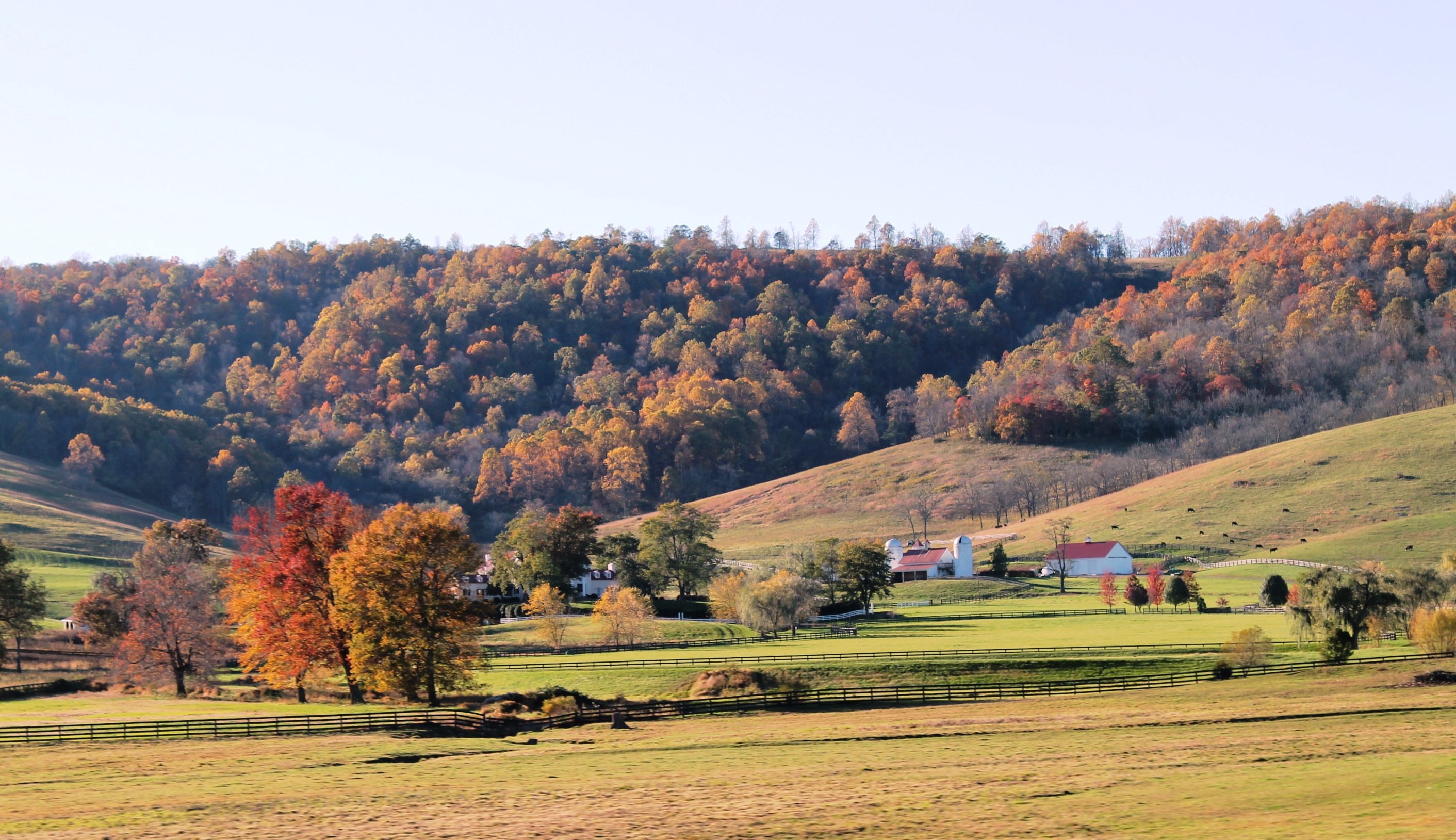 Shenandoah