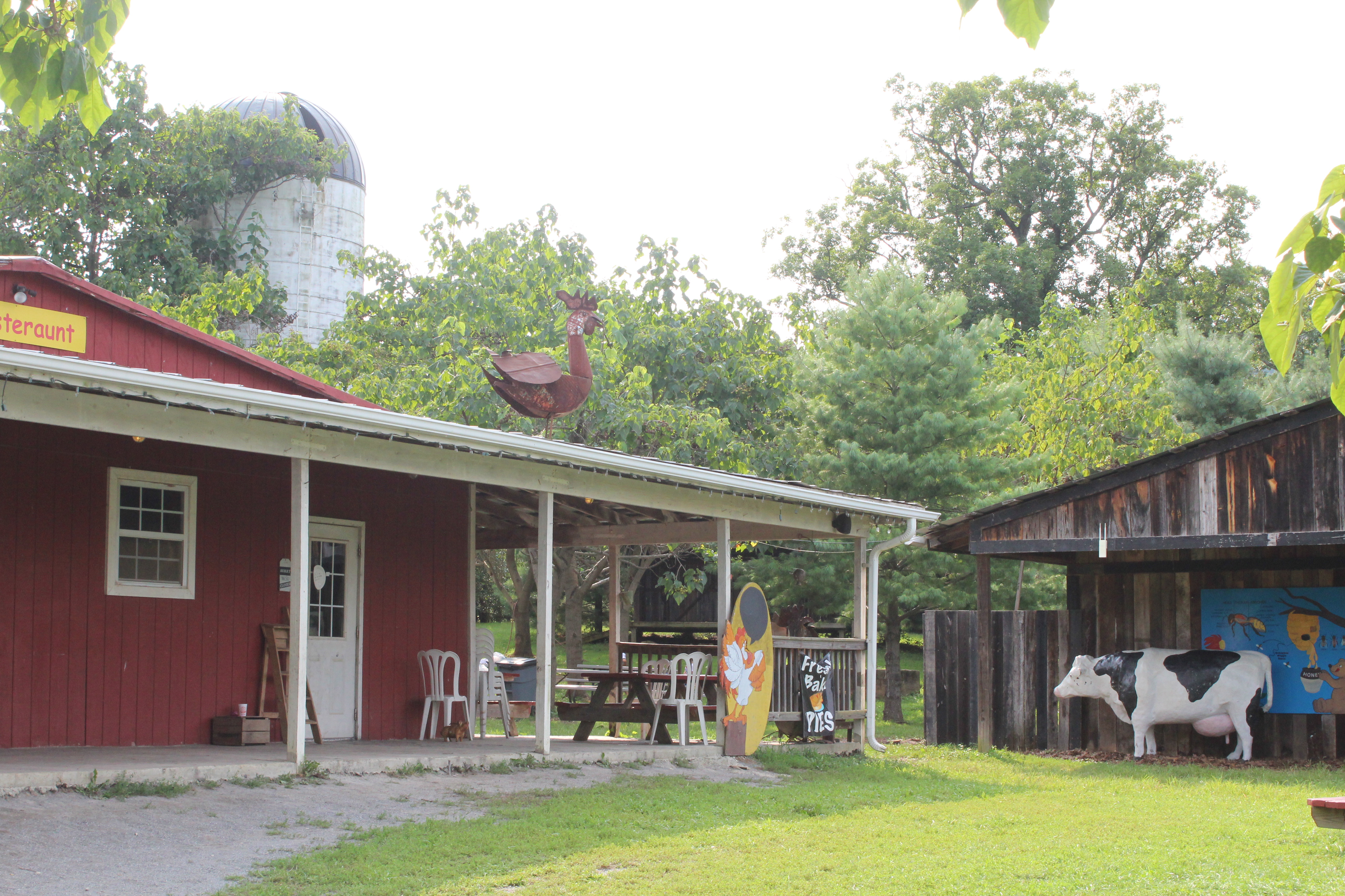 Great-Country-Farm