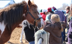 VAHorseFestivalGirl VAHorseFestivalGirl