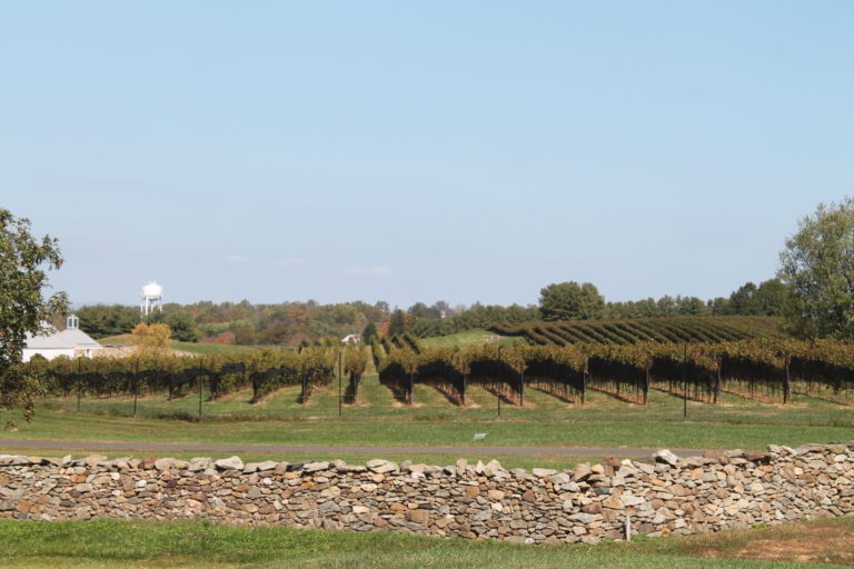 Boxwood Estate Winery Colonial Roads