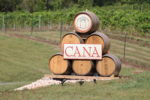 Cana Vineyards and Winery of Middleburg