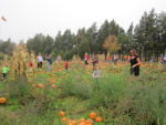 Yankey Farms