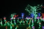 Winter Walk of Lights at Meadowlark Botanical Gardens