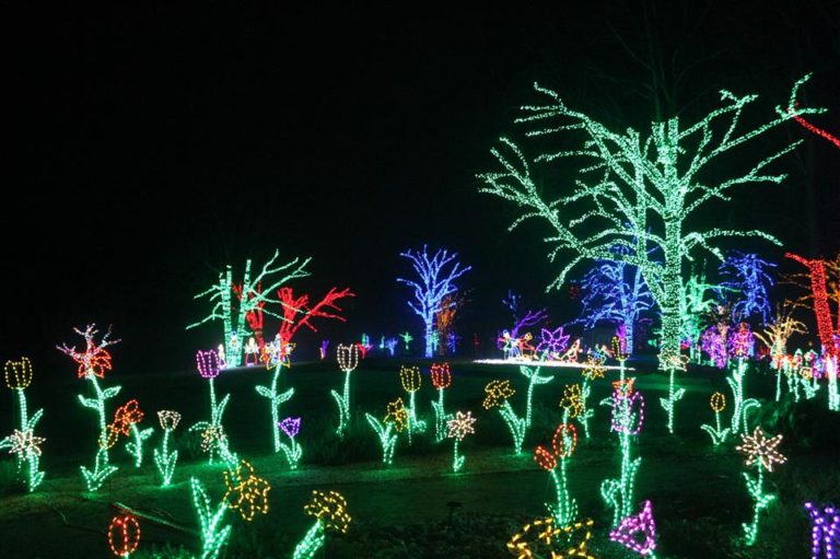 Winter Walk of Lights at Meadowlark Botanical Gardens Colonial Roads