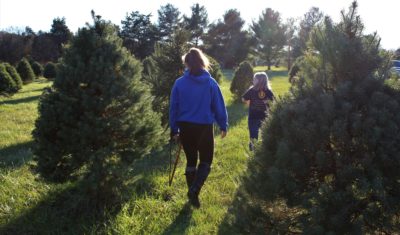 Christmas Tree Farms