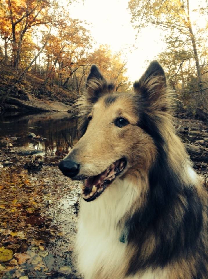 Autumn Portraits at Stone Bridge