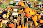 Messick’s Farm Market Fall Festival