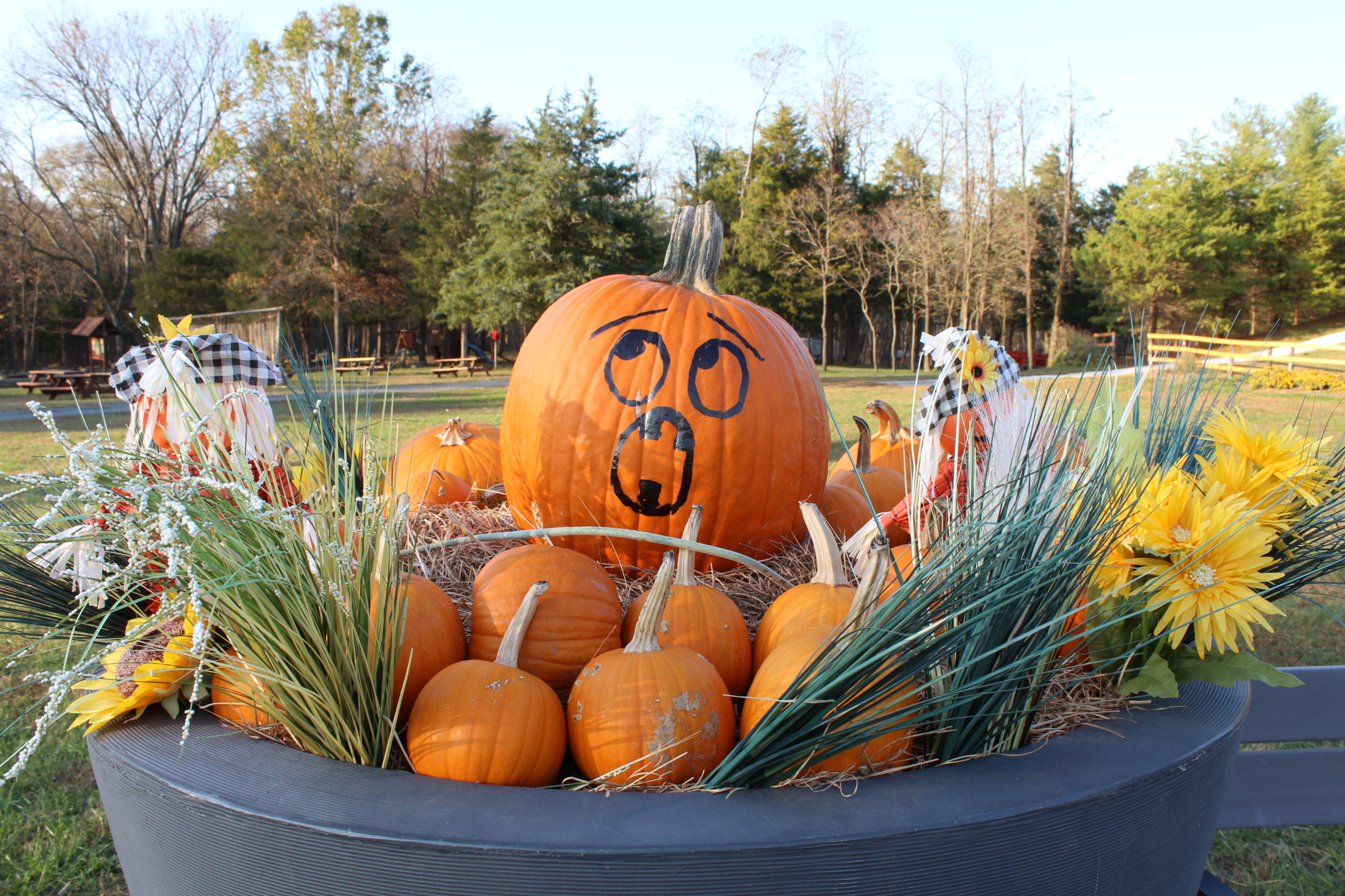 Colonial Roads photo of Pumpkin decor at Ticonderoga Farm Fall Event