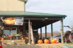 Buckland Farm Market